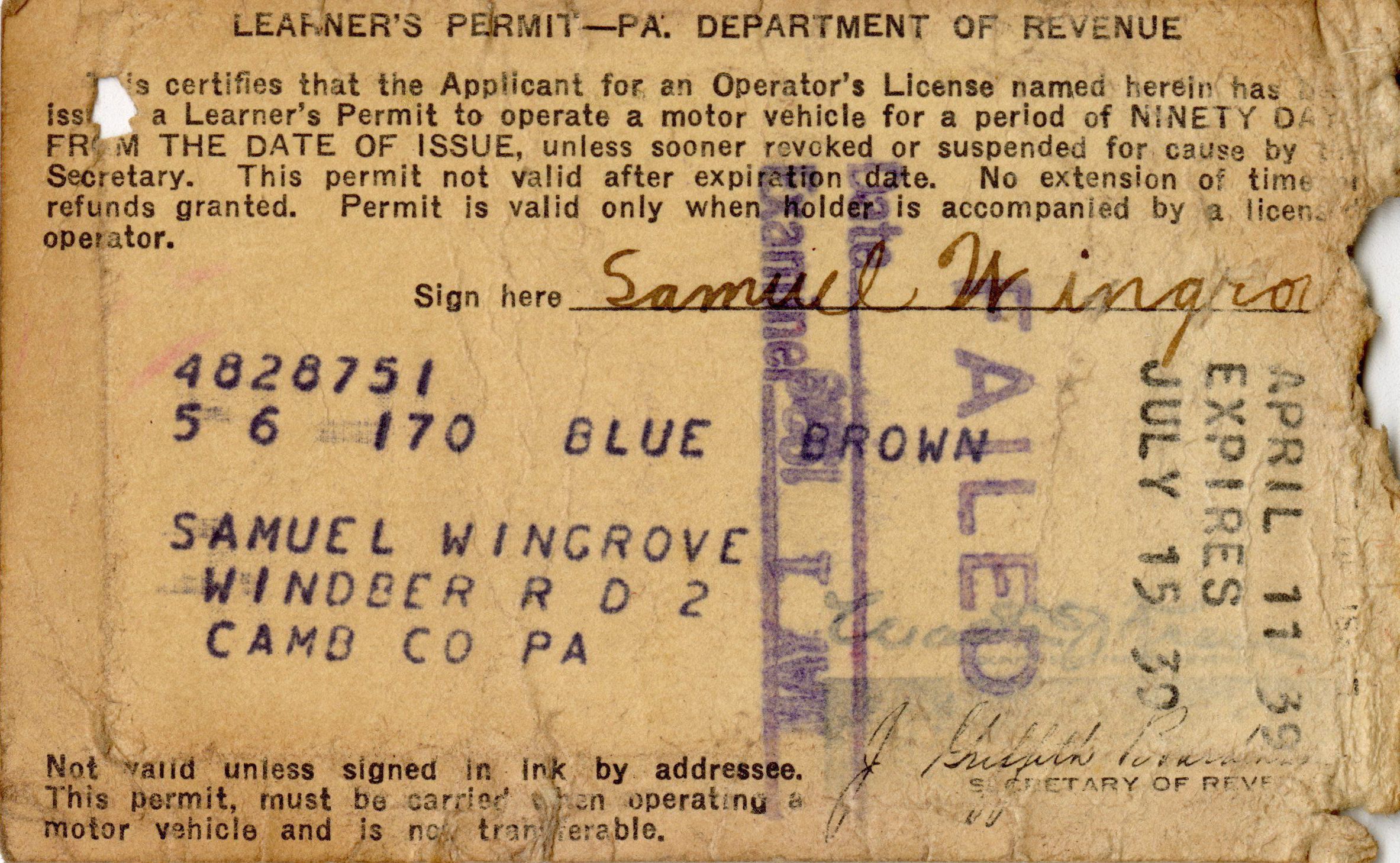 Primary Image of The Learner's Permit of Samuel Wingrove