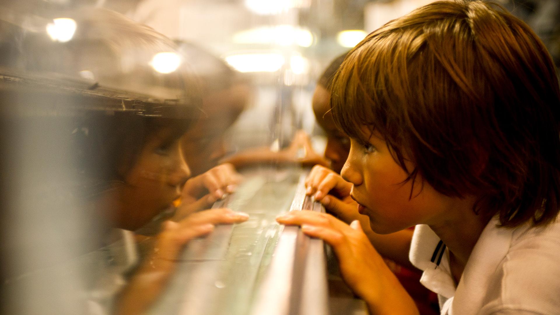 Young boy viewing a something on a wall