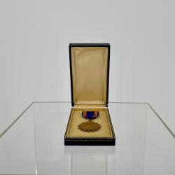 Alternative Image of Air Medal of Gerald Hennesy