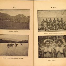 Alternative Image of New Caledonia Illustrated Travel Guide