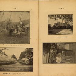Alternative Image of New Caledonia Illustrated Travel Guide