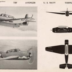 Alternative Image of Recognition Pictorial Manual