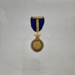 Alternative Image of Navy Distinguished Service Medal of James H. Flatley, Jr.
