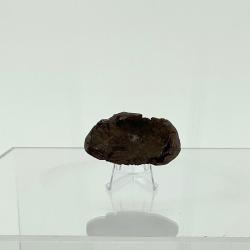 Alternative Image of Japanese Bomb Fragment