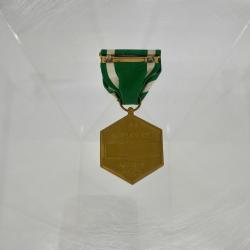 Alternative Image of Navy Commendation Medal of James H. Flatley, Jr.