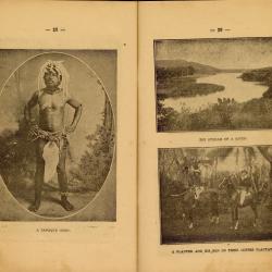 Alternative Image of New Caledonia Illustrated Travel Guide