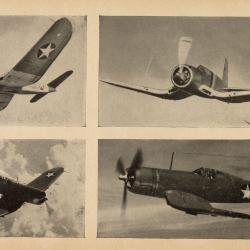 Alternative Image of Recognition Pictorial Manual