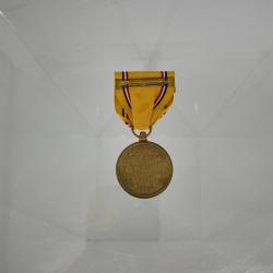 Alternative Image of American Defense Service Medal