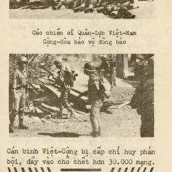 Alternative Image of The Strength of the Republic of Vietnam