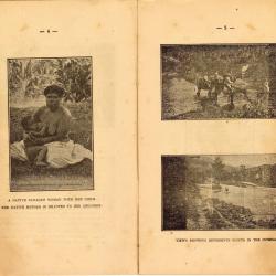 Alternative Image of New Caledonia Illustrated Travel Guide