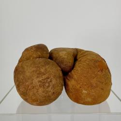 Primary Image of Boxing Glove