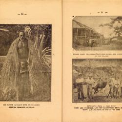 Alternative Image of New Caledonia Illustrated Travel Guide
