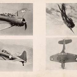 Alternative Image of Recognition Pictorial Manual