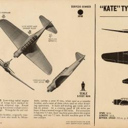 Alternative Image of Recognition Pictorial Manual