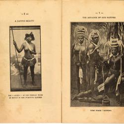 Alternative Image of New Caledonia Illustrated Travel Guide