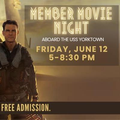 Image of Top Gun Maverick Movie Poster