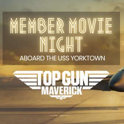 Top Gun Movie Image