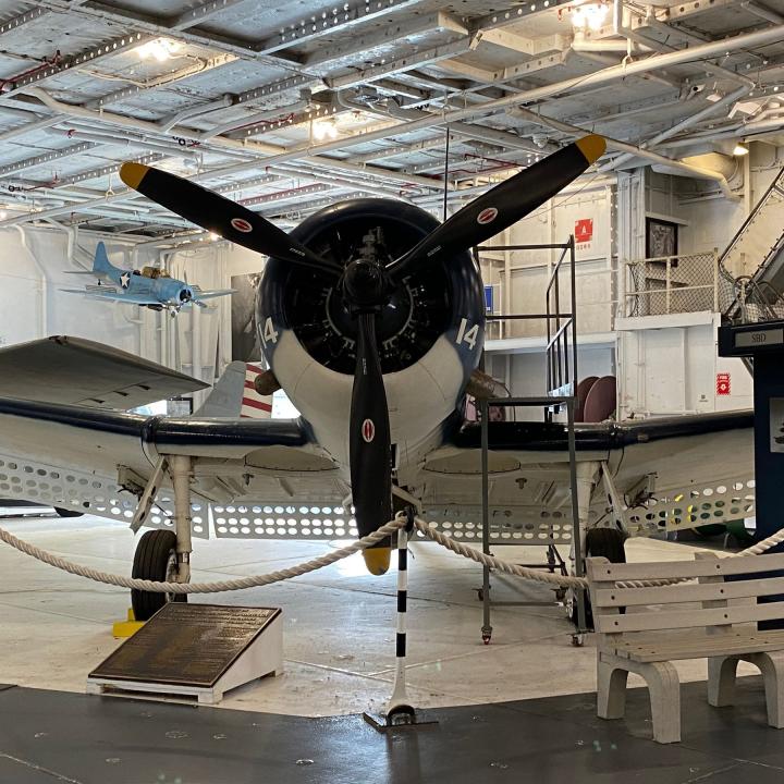 Primary Image of SBD-5 Dauntless