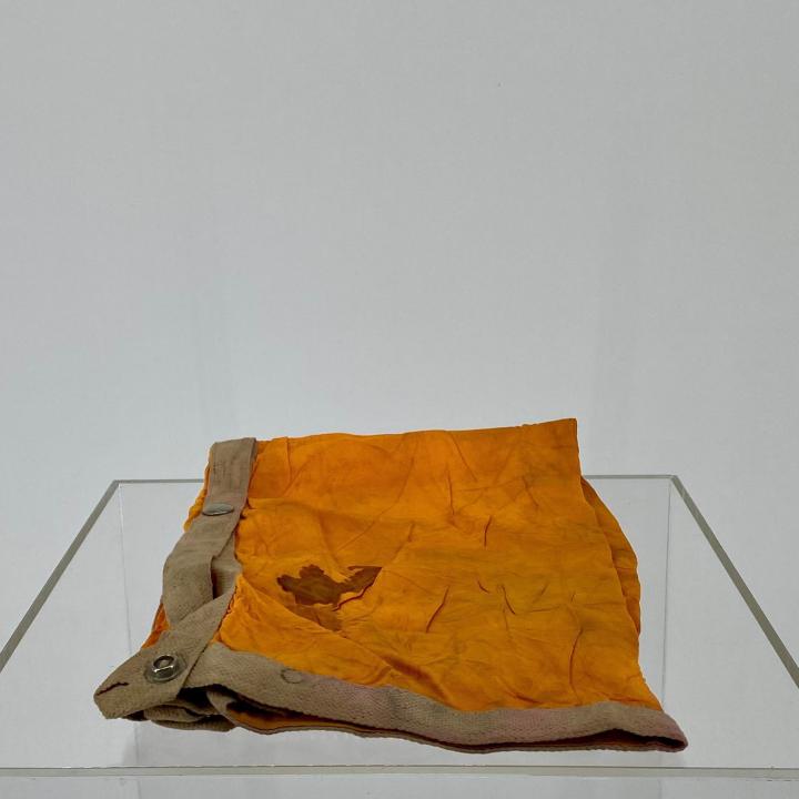 Primary Image of Medical Sleeve
