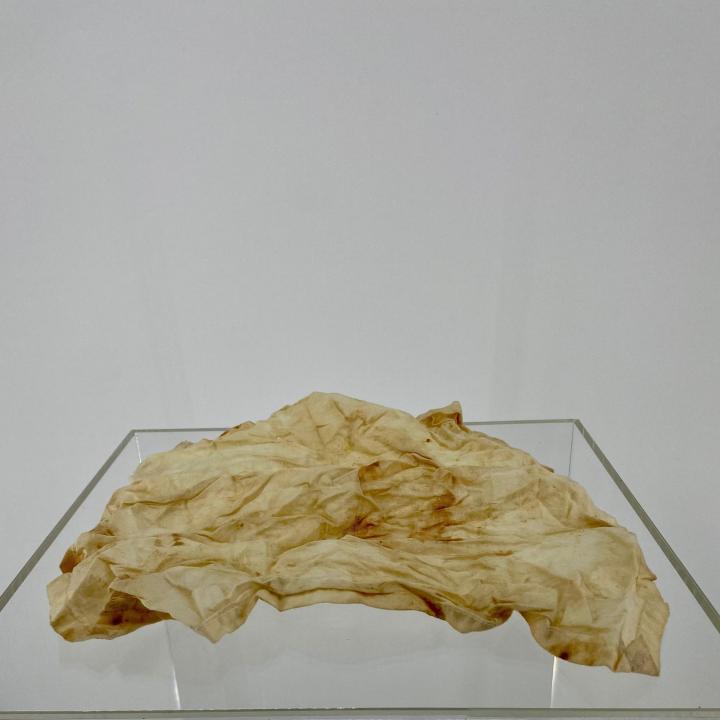 Primary Image of Handkerchief of Frank Manson