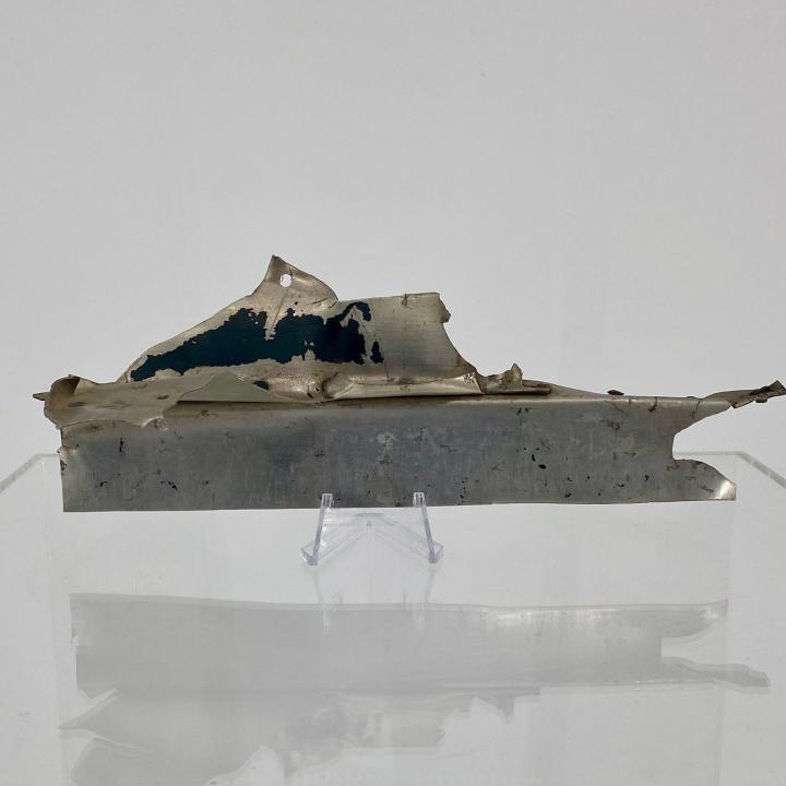 Primary Image of Japanese Plane Fragment