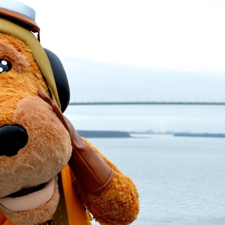 Scrappy, the Patriots Point Naval & Maritime Museum mascot