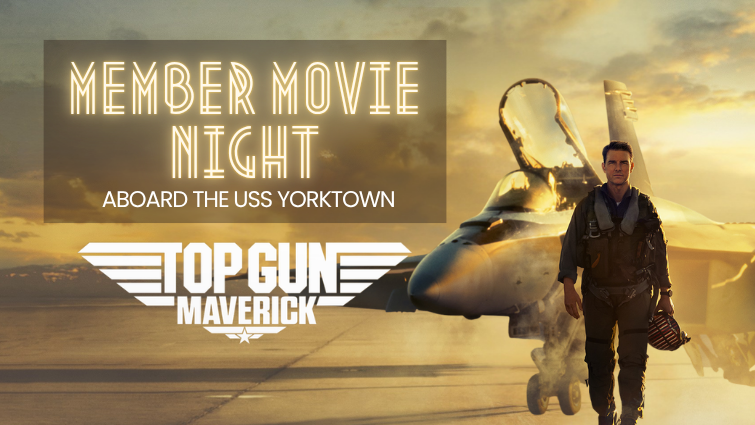 Top Gun Movie Image